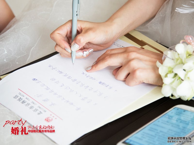 白色梦幻婚庆策划方案
